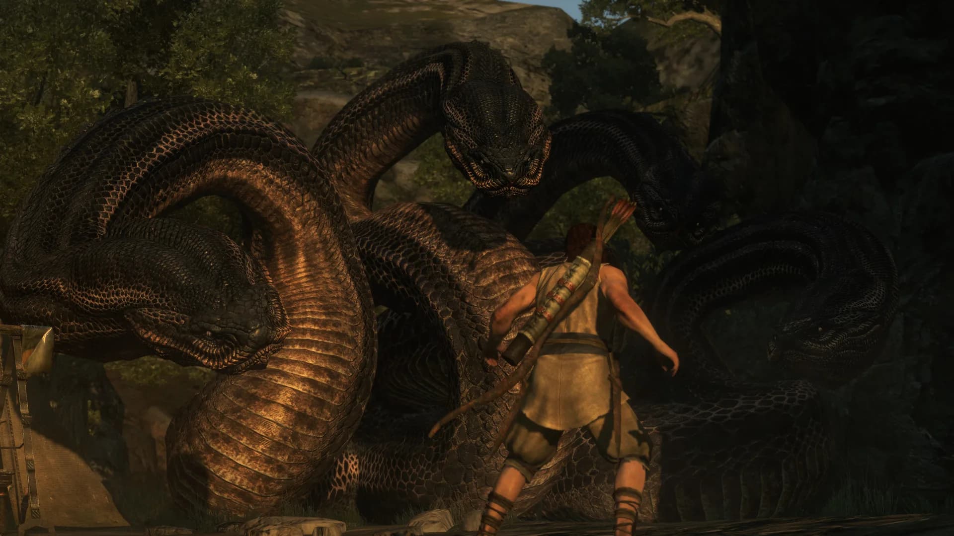 Dragon's Dogma: Dark Arisen görsel 11