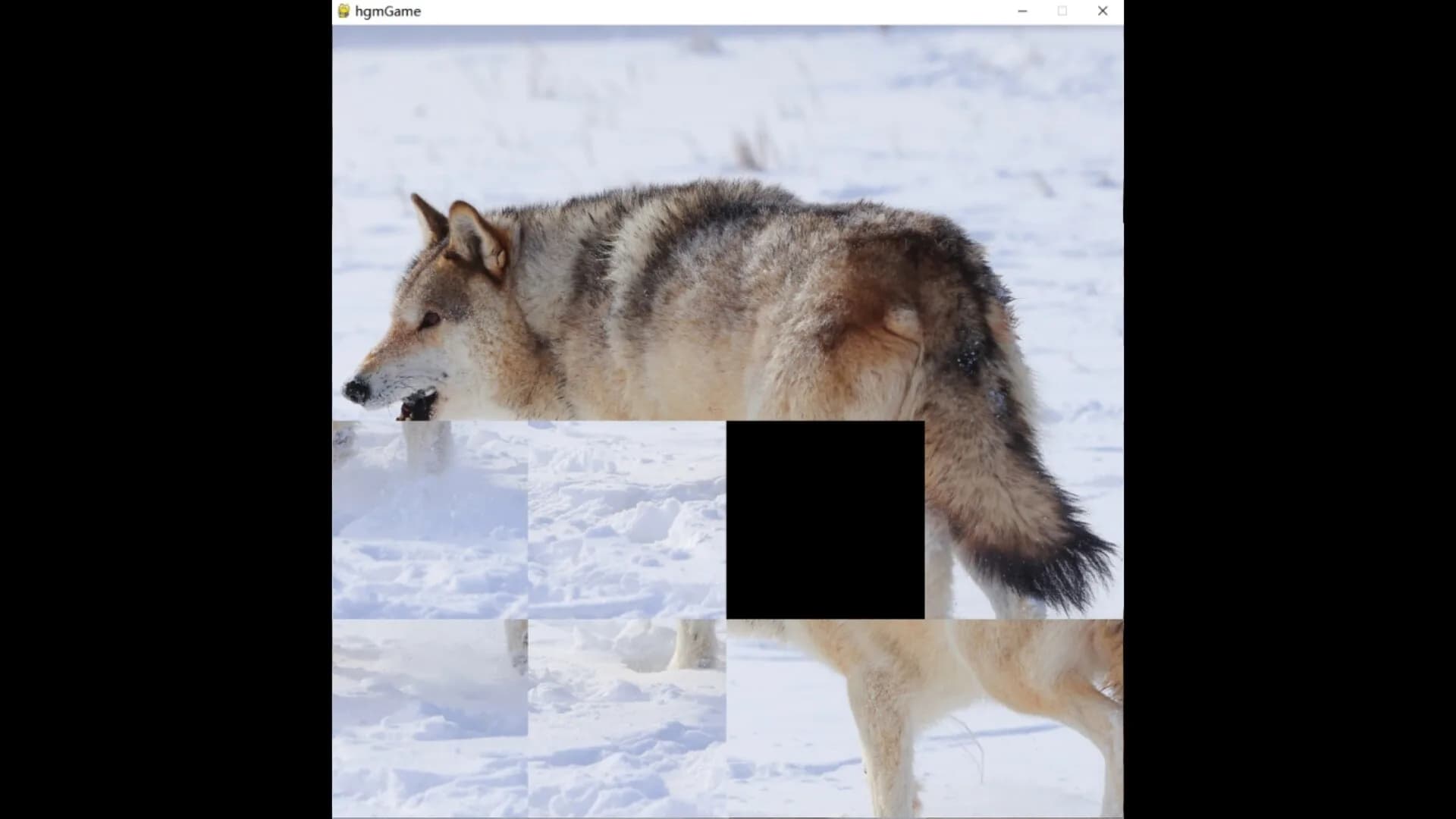hgmGame-wolf görsel 4