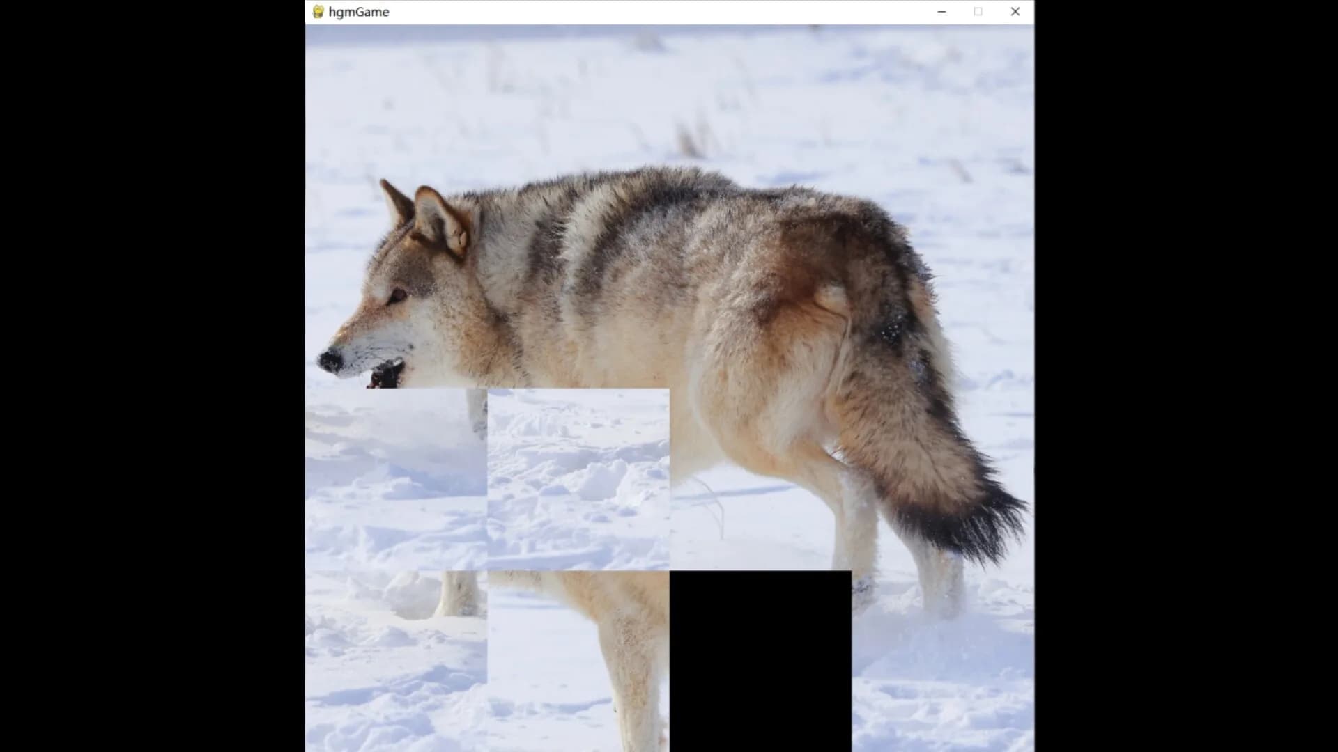 hgmGame-wolf görsel 5