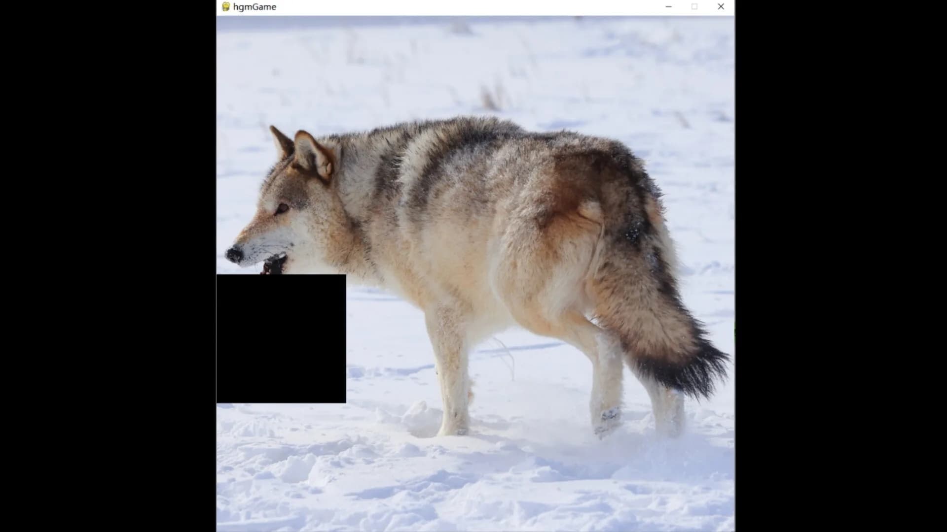 hgmGame-wolf görsel 6