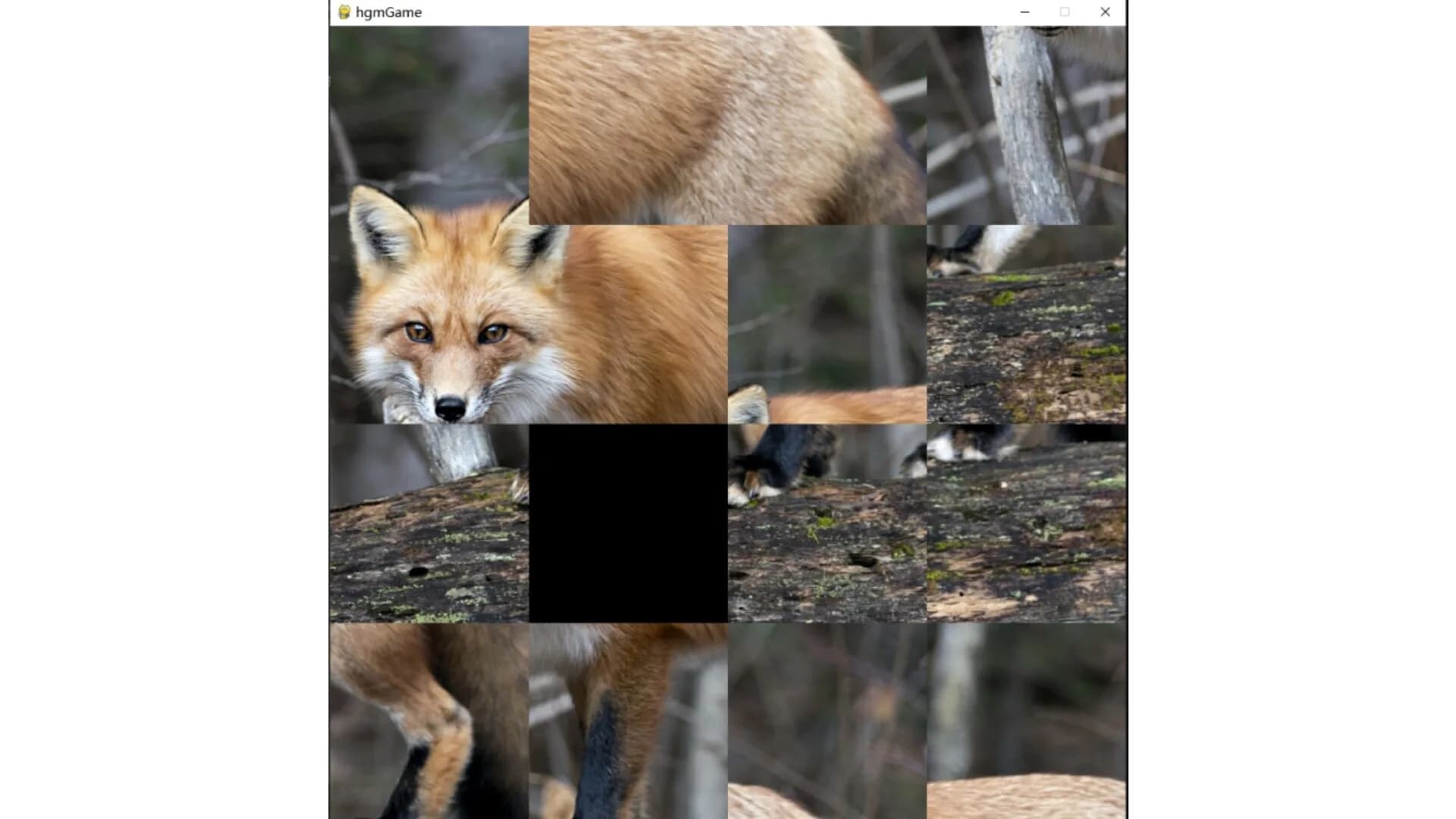 hgmGame-fox görsel 2