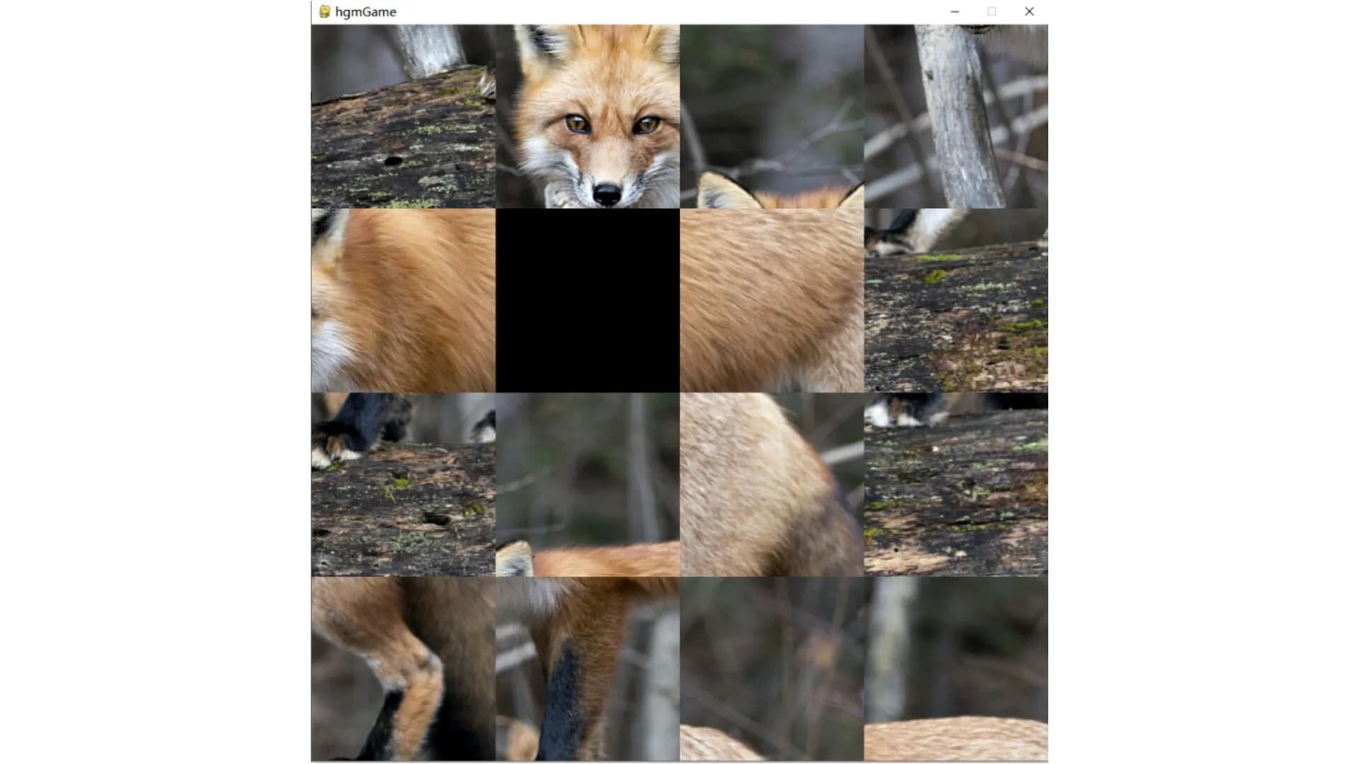 hgmGame-fox görsel 3