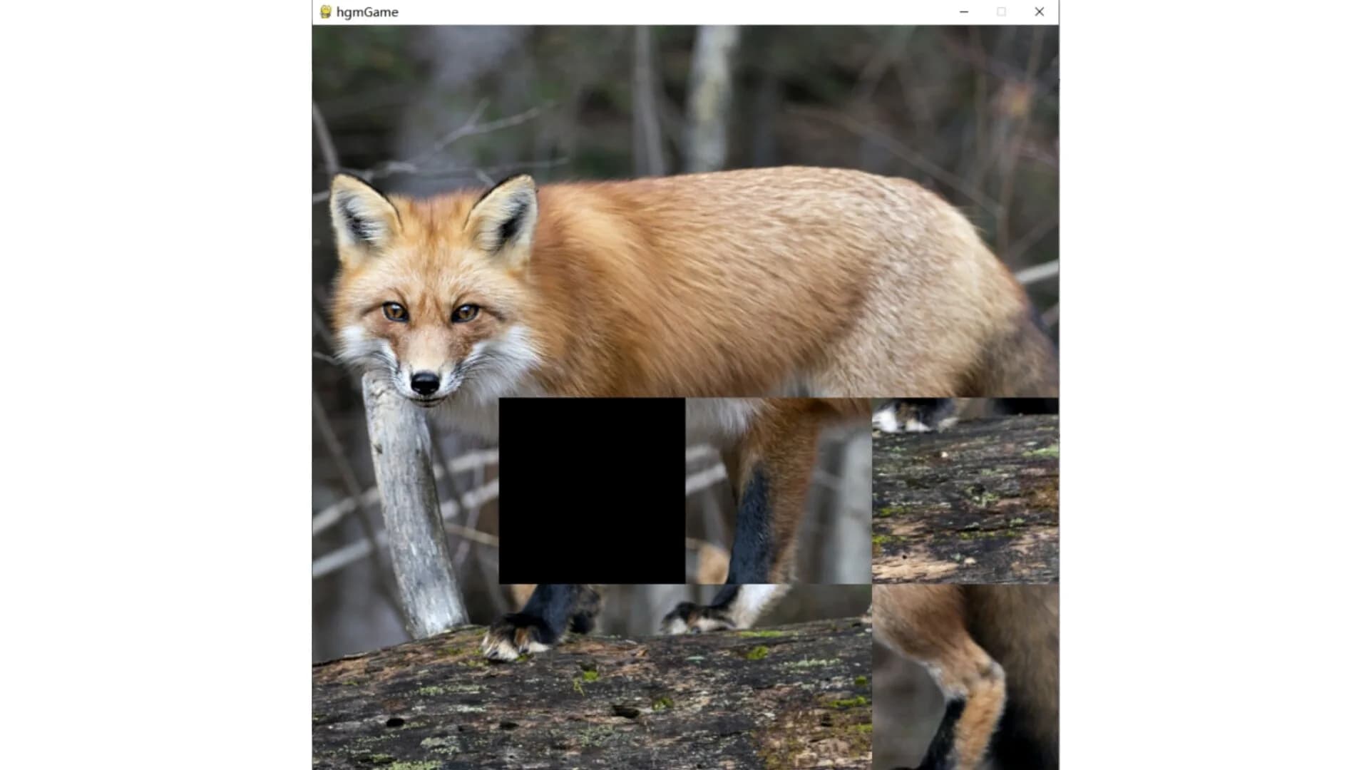 hgmGame-fox görsel 4