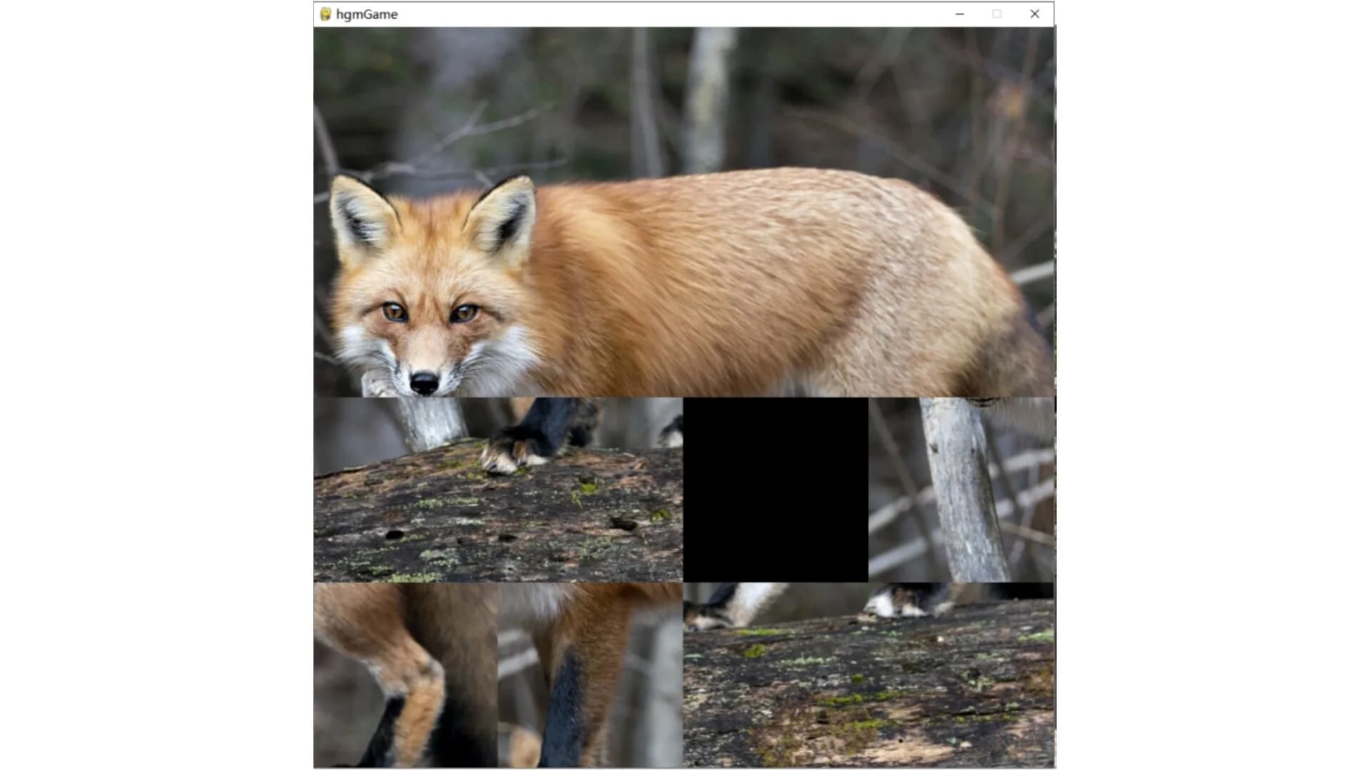 hgmGame-fox görsel 5