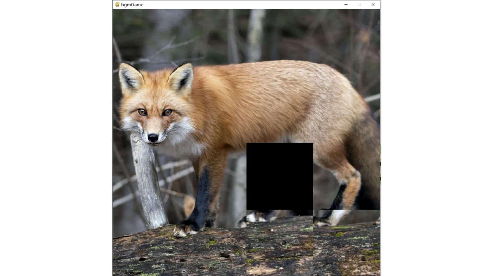hgmGame-fox görsel 6
