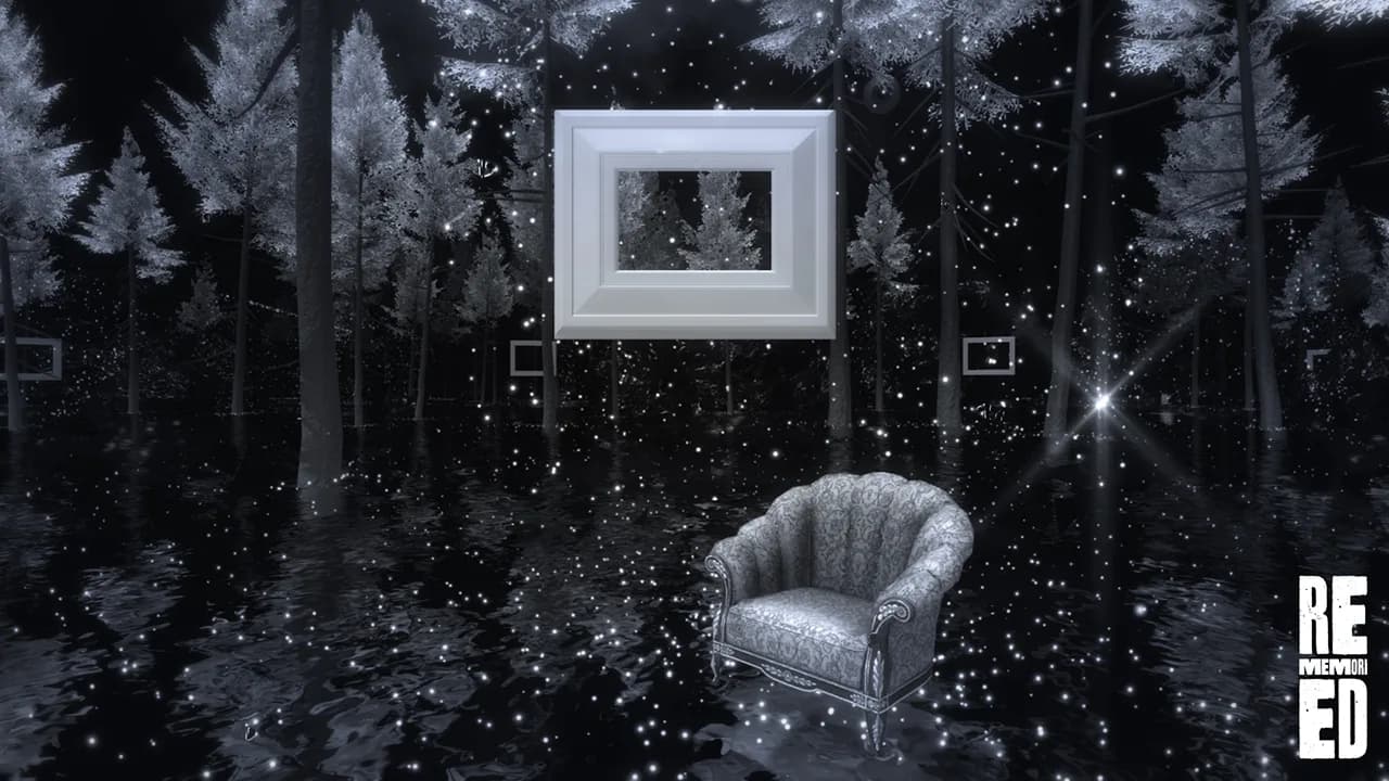Rememoried görsel 9