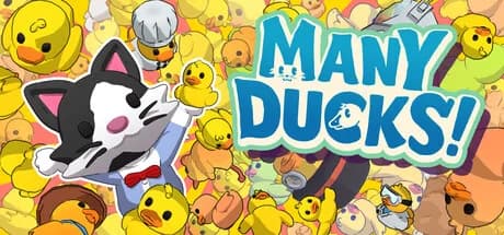 Many Ducks