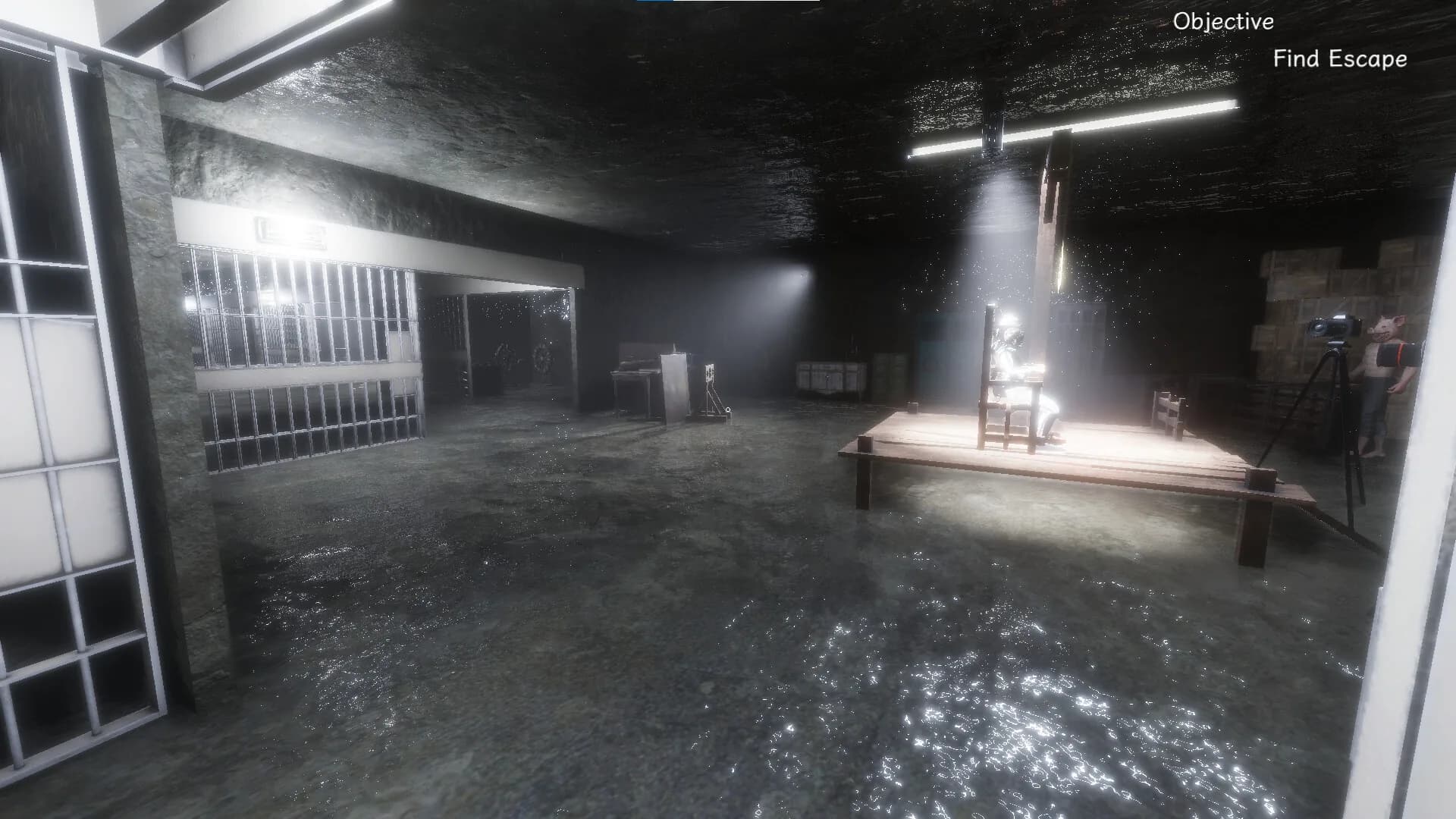 Synthetic Captive görsel 6