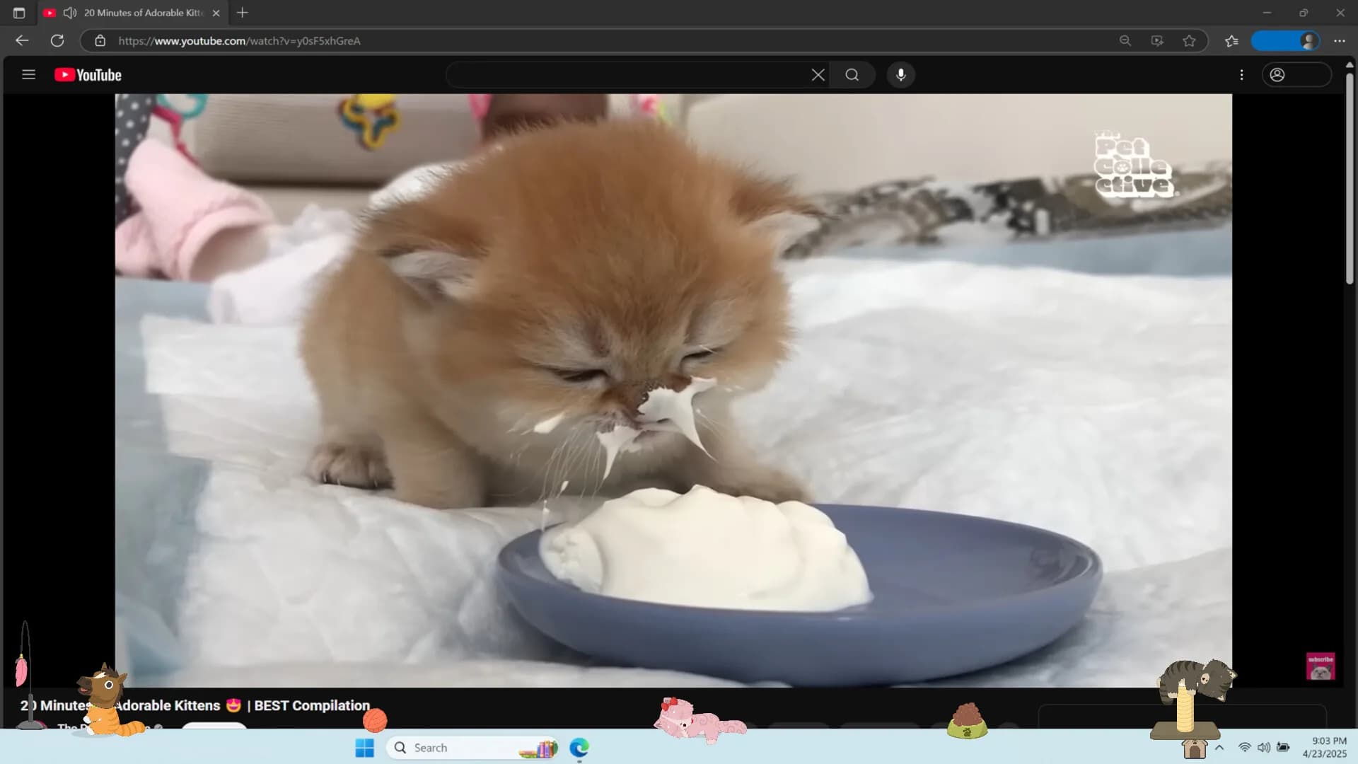 Digital Desktop Cats görsel 3