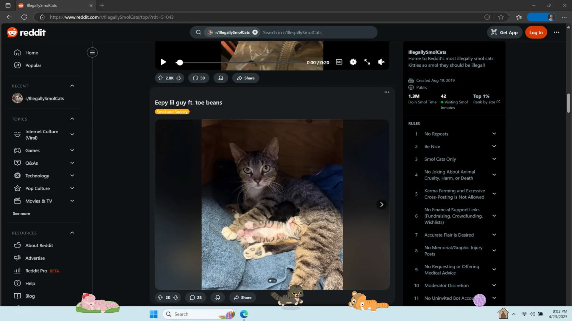 Digital Desktop Cats görsel 5