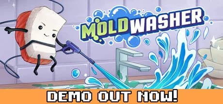 Moldwasher