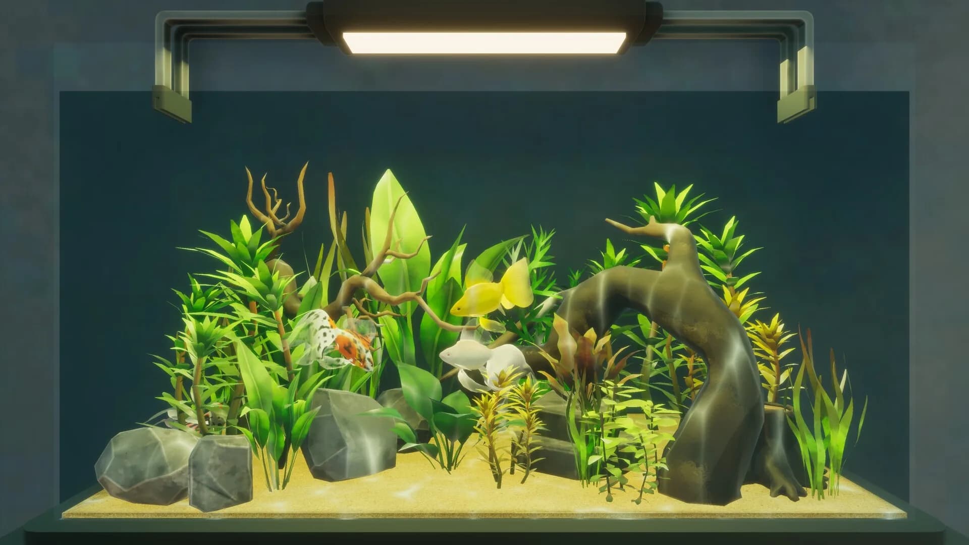 The Aquarium görsel 8