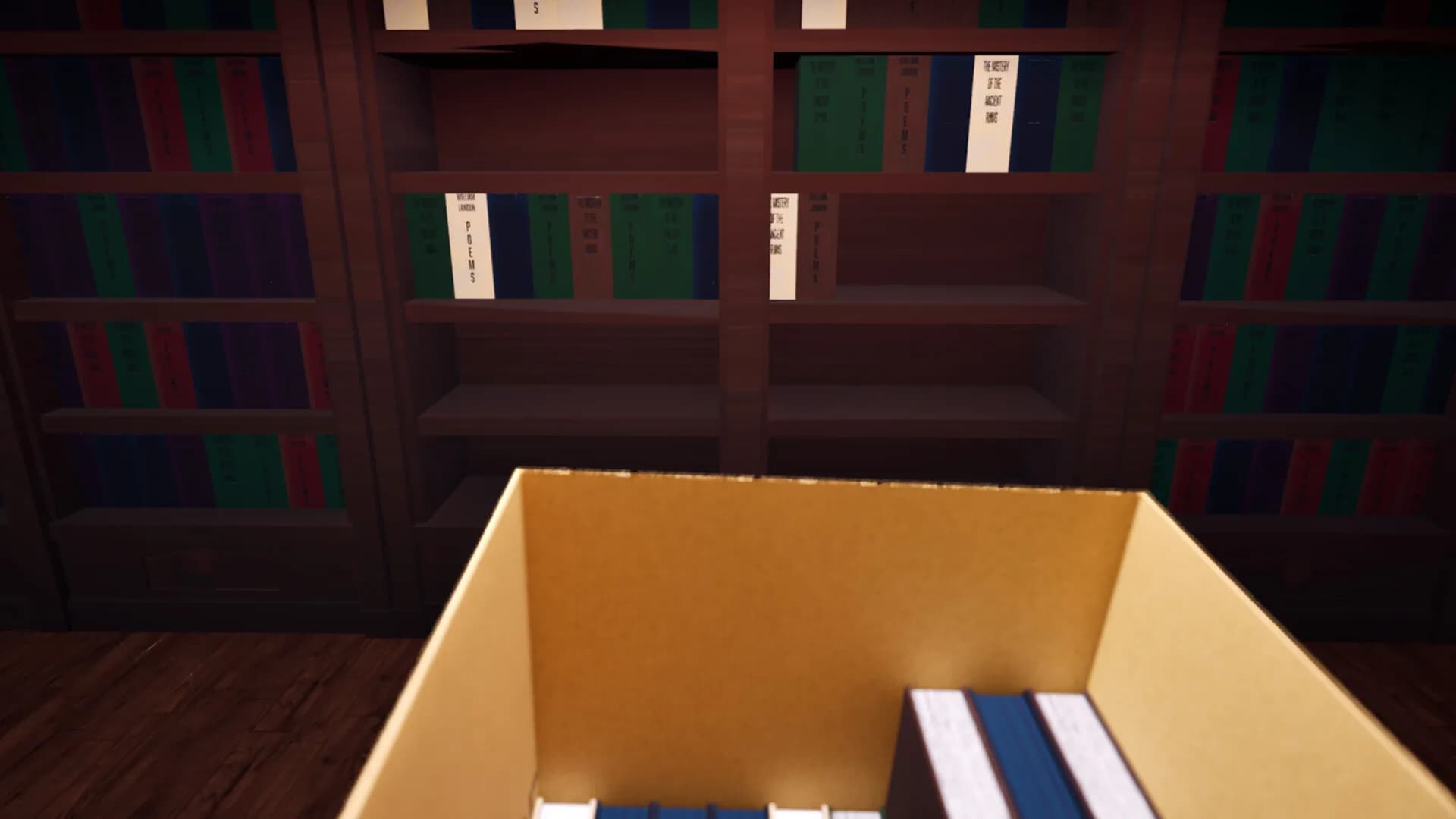 Library Simulator görsel 9