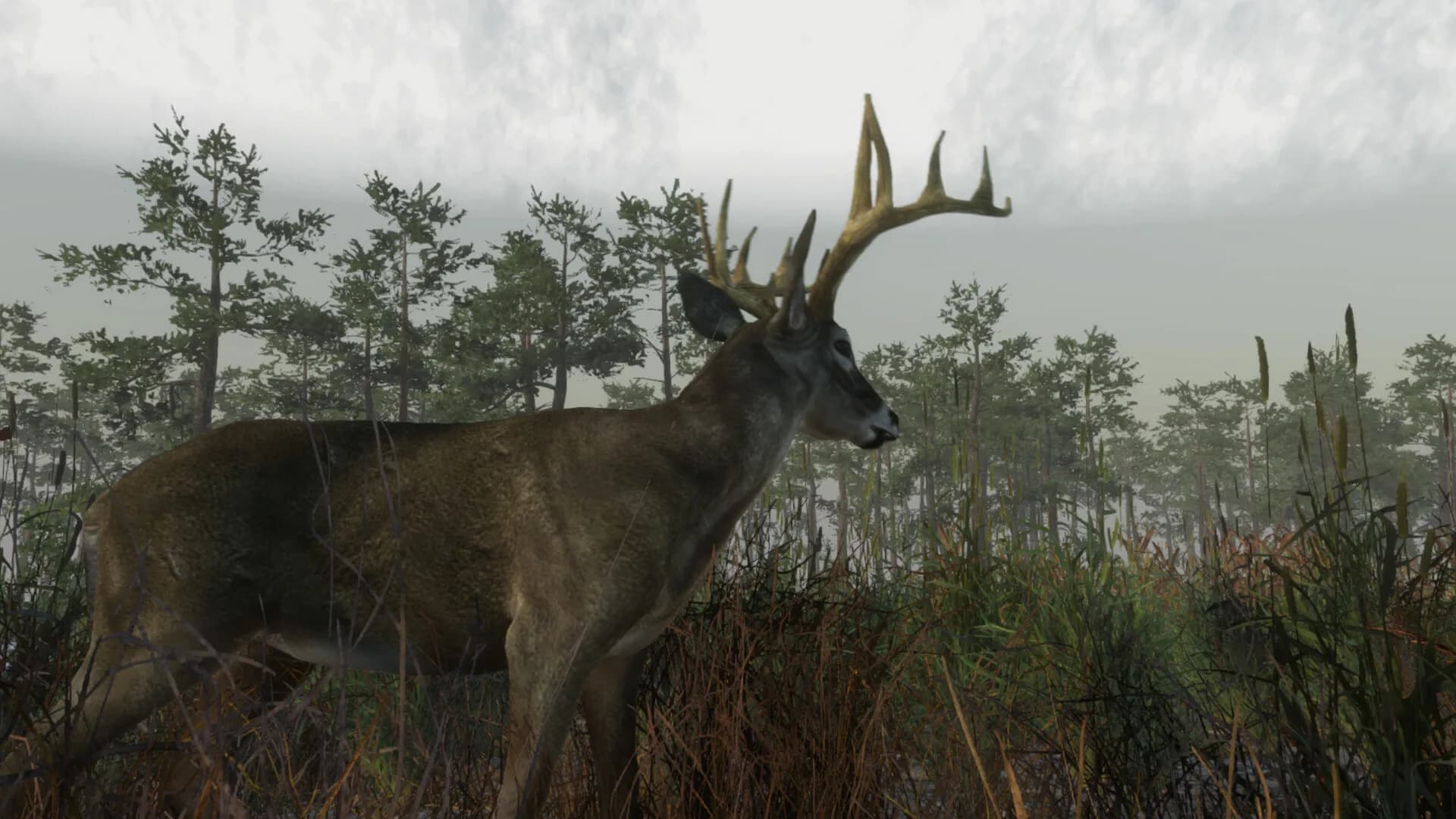 Deer Hunting Camp görsel 2