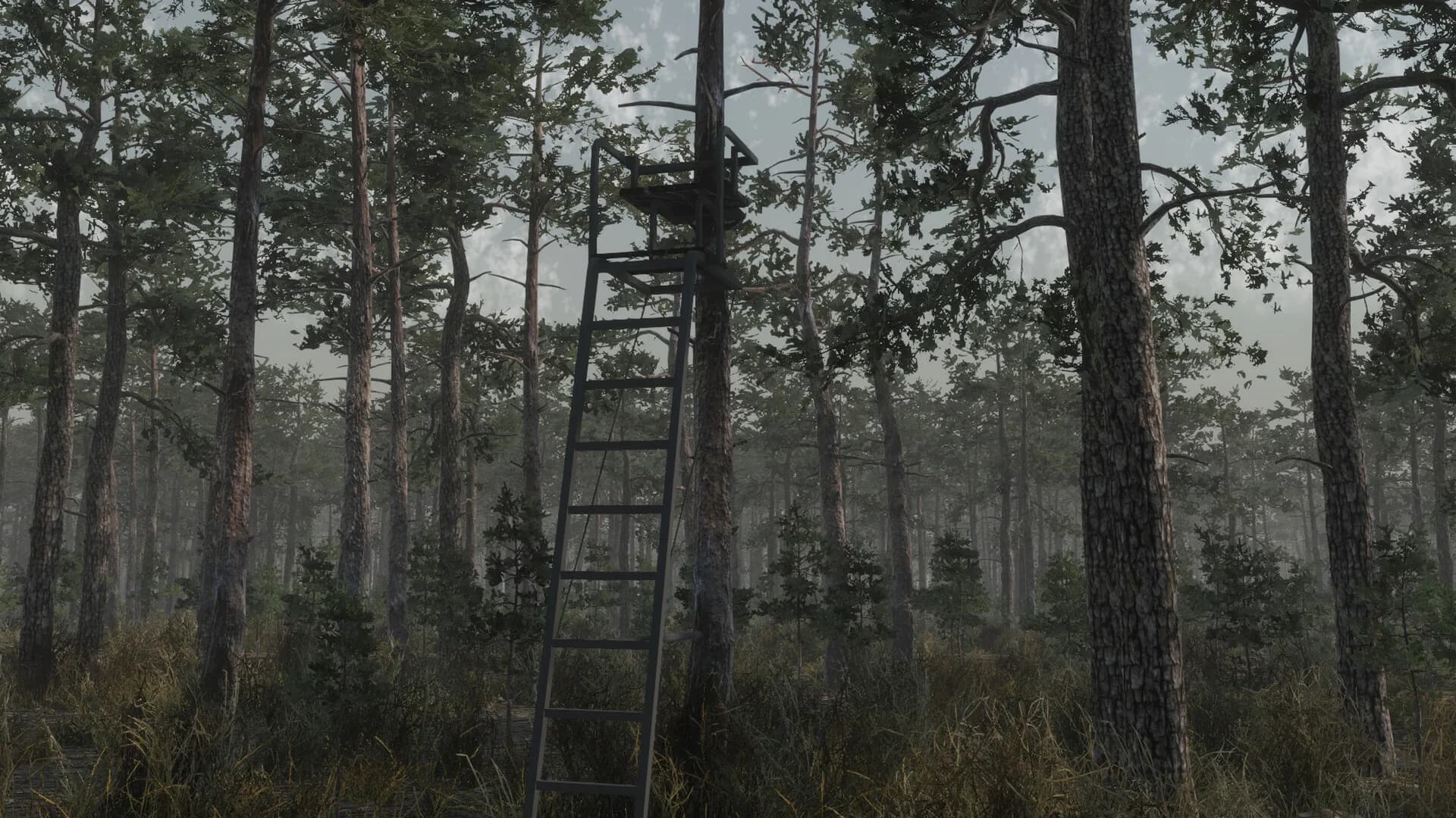Deer Hunting Camp görsel 4