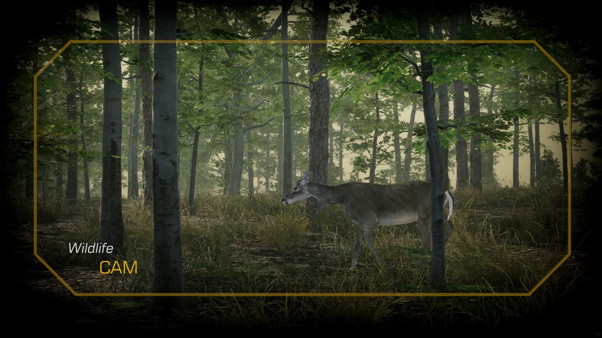 Deer Hunting Camp görsel 6