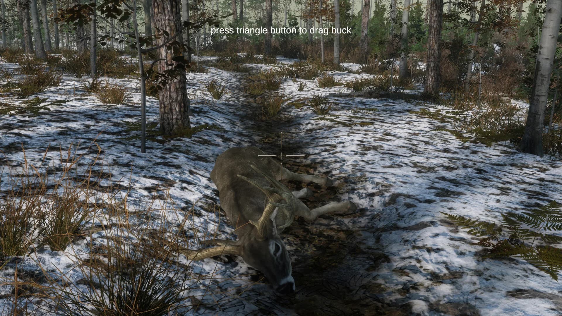Deer Hunting Camp görsel 9