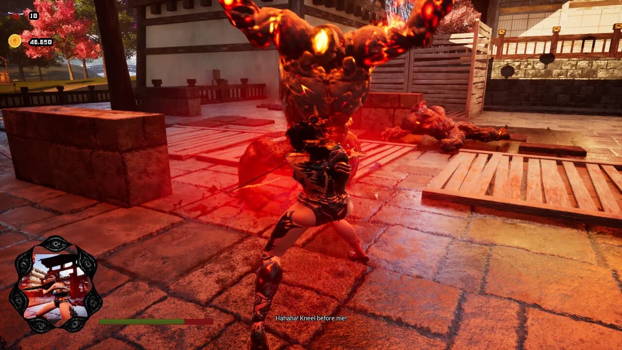 Pure Instinct Katana görsel 3