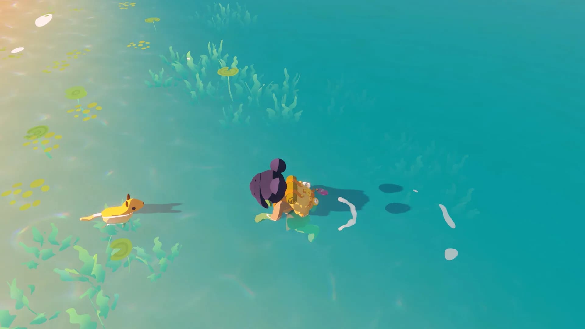 Humblets görsel 7