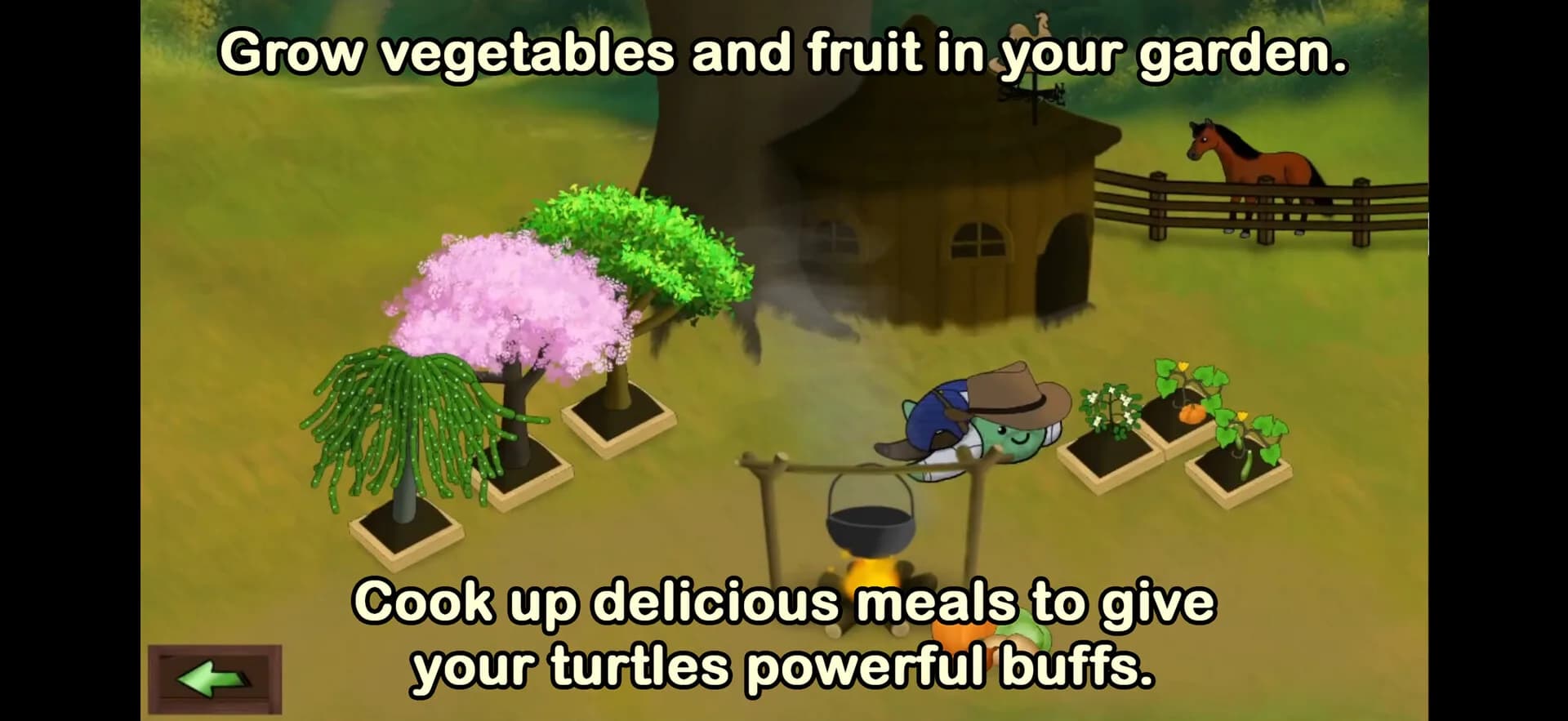 Pocket Turtles görsel 3
