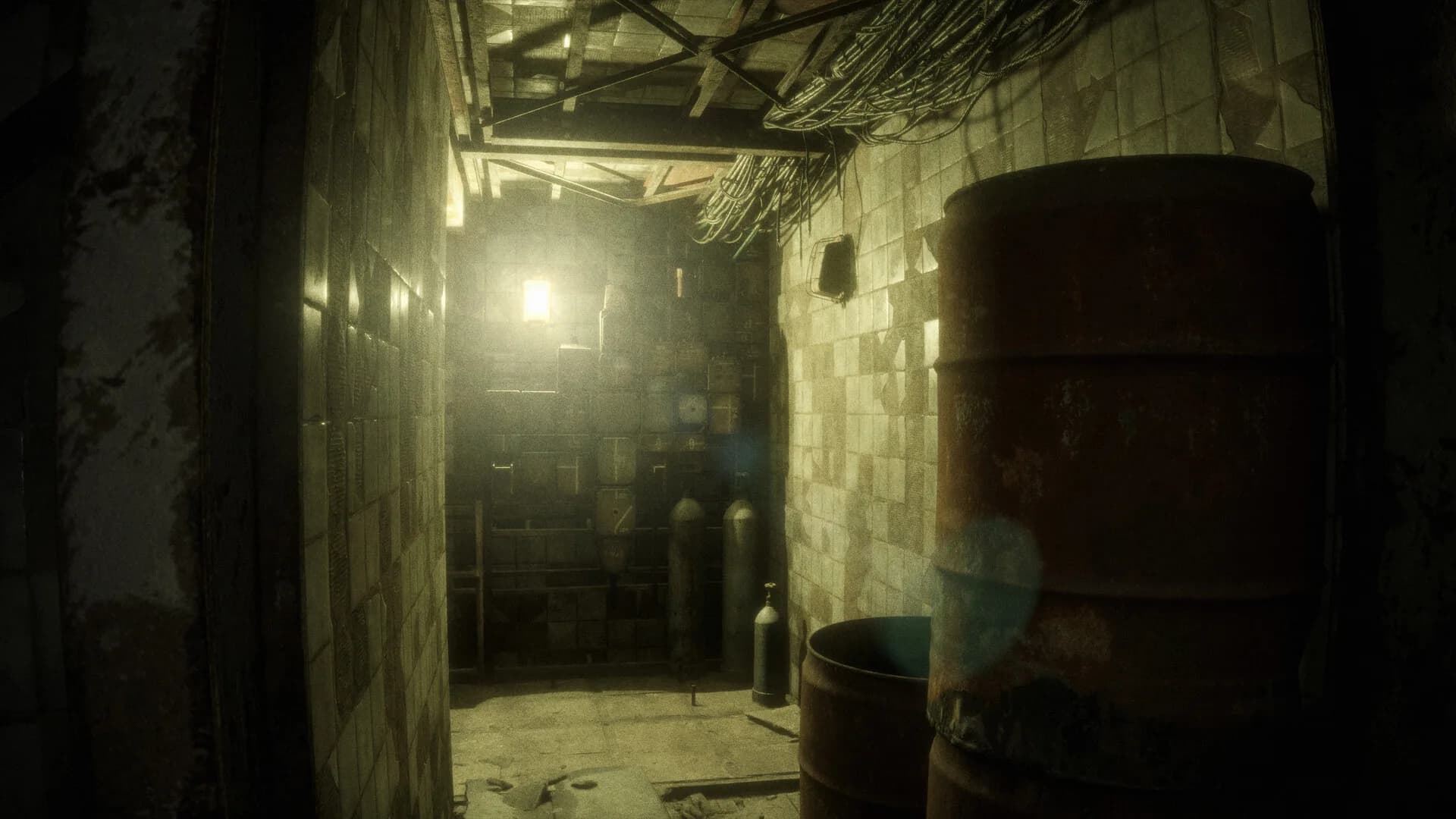 HOST görsel 7
