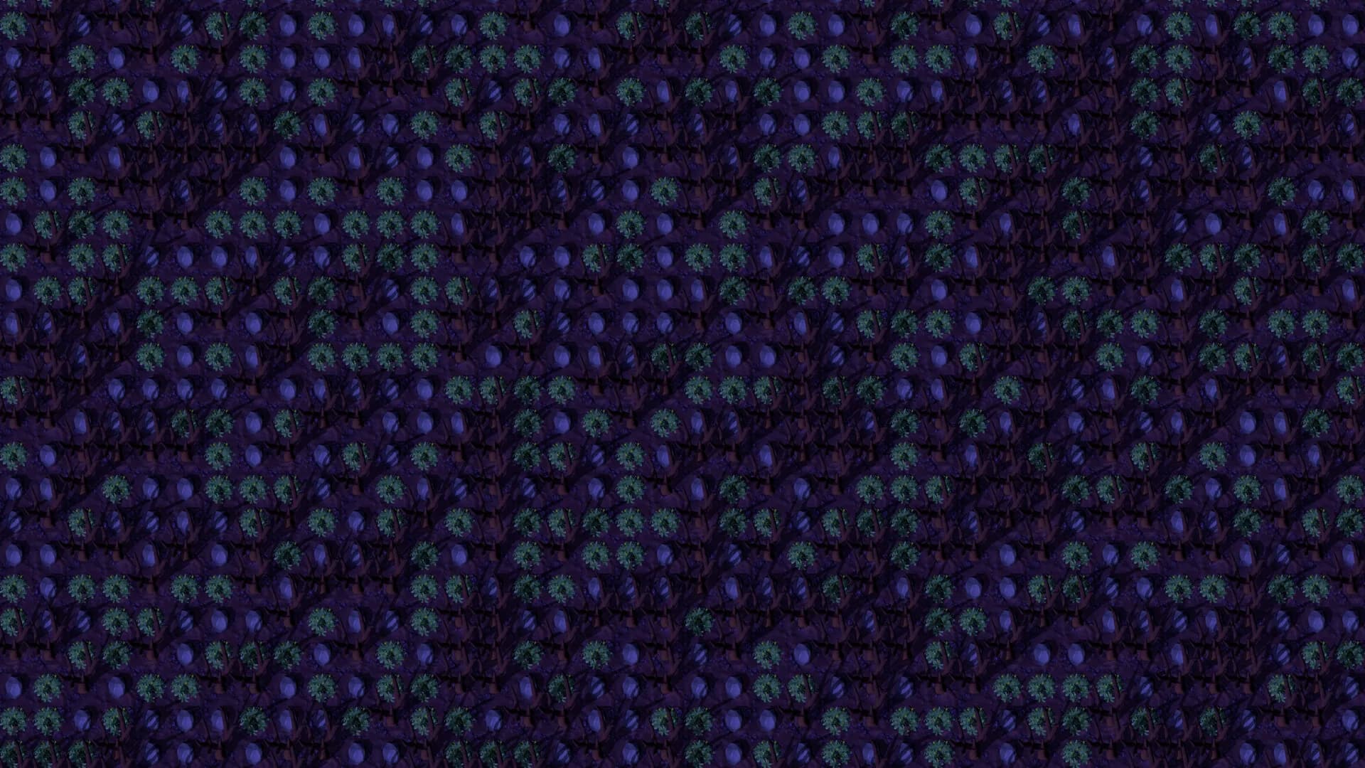 Dimensional Project görsel 7