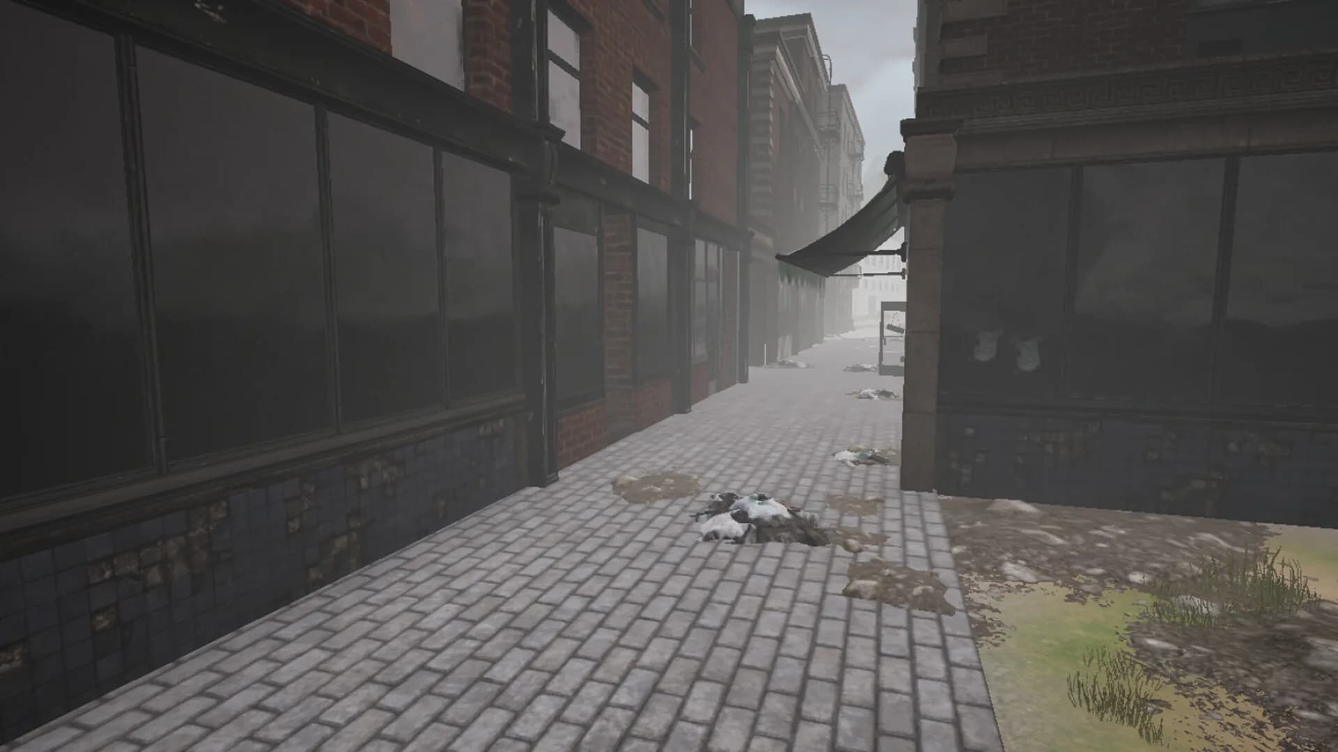 Sanitism görsel 6