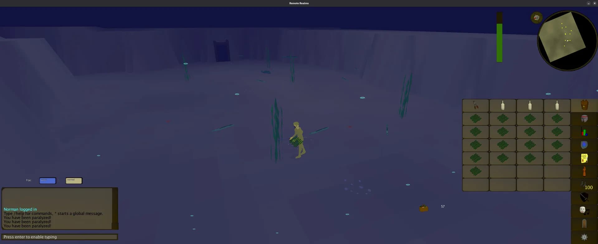 Remote Realms görsel 3