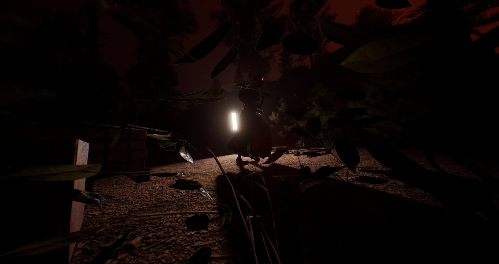 Dark Realms: Mysteries of Hoia Baciu Forest görsel 3