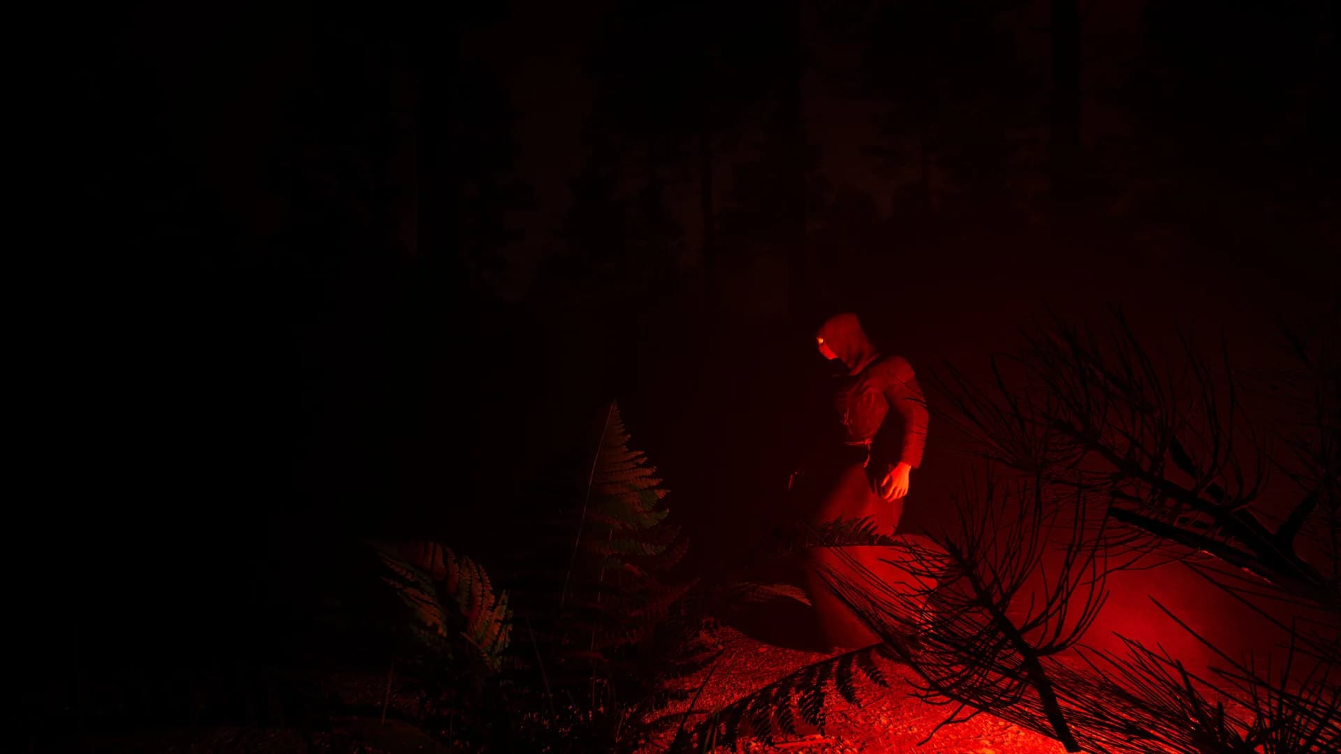 Dark Realms: Mysteries of Hoia Baciu Forest görsel 7