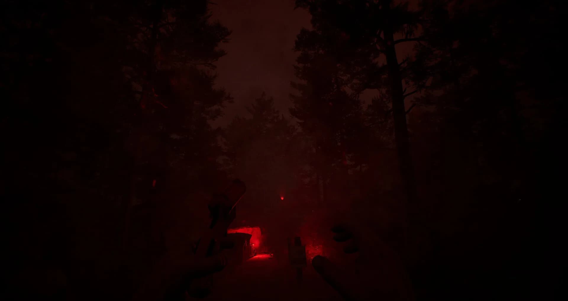 Dark Realms: Mysteries of Hoia Baciu Forest görsel 10
