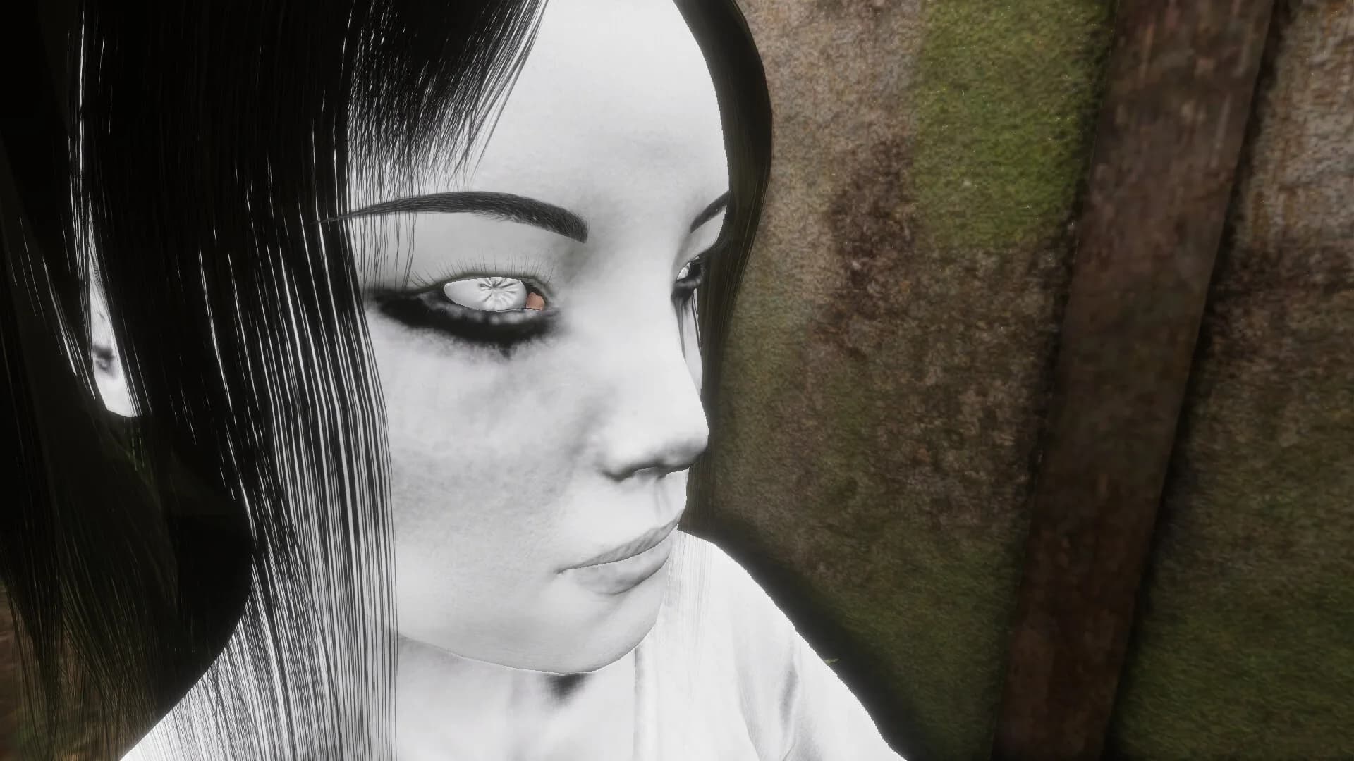 Scare: Fatal Picture - The Other Side görsel 4