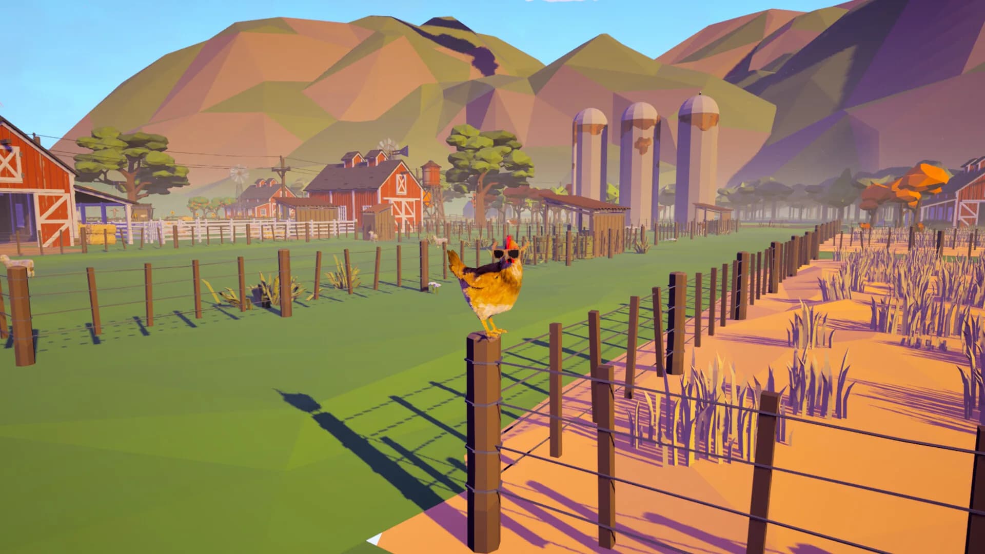 Farm Chicken görsel 13