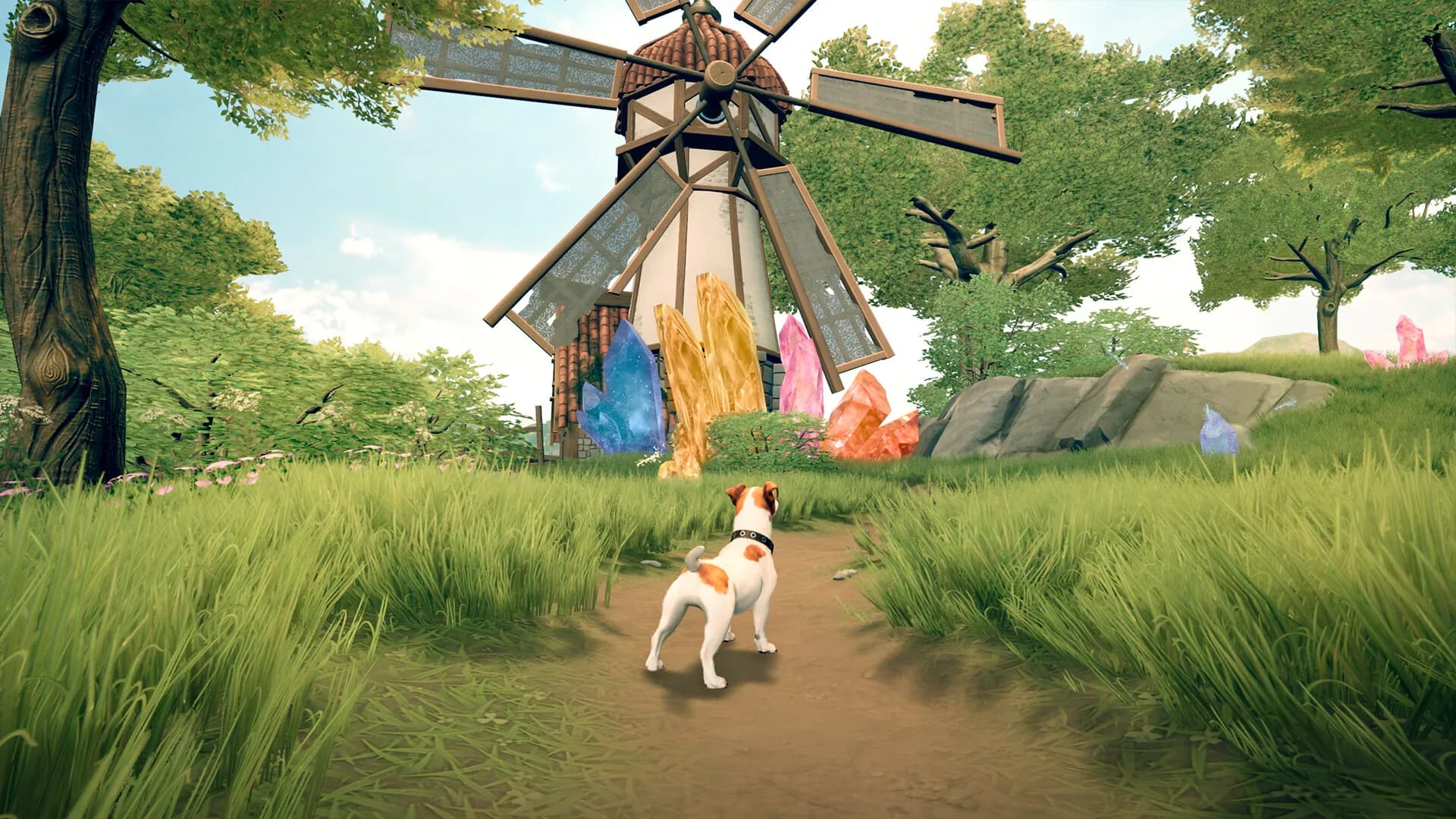 Toto's Journey görsel 2