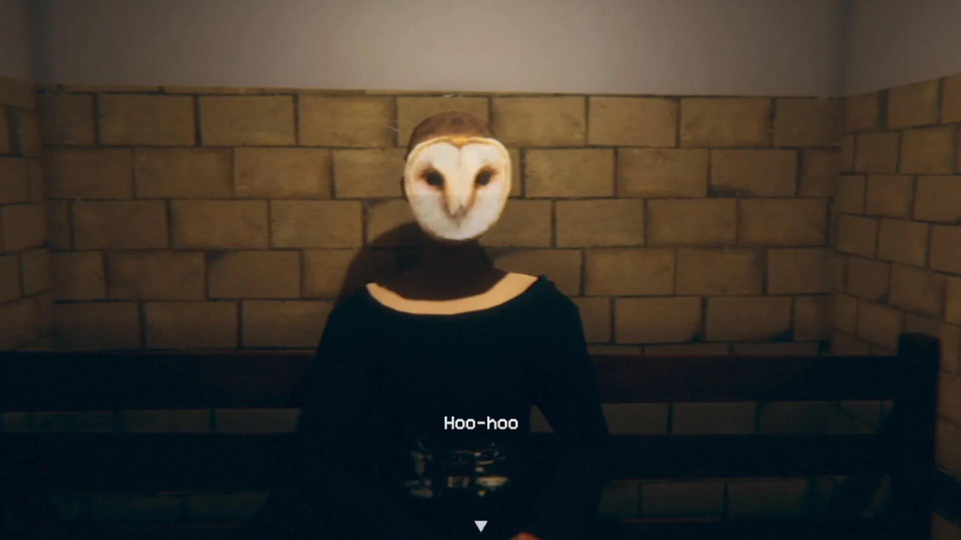 Owl Lights görsel 4
