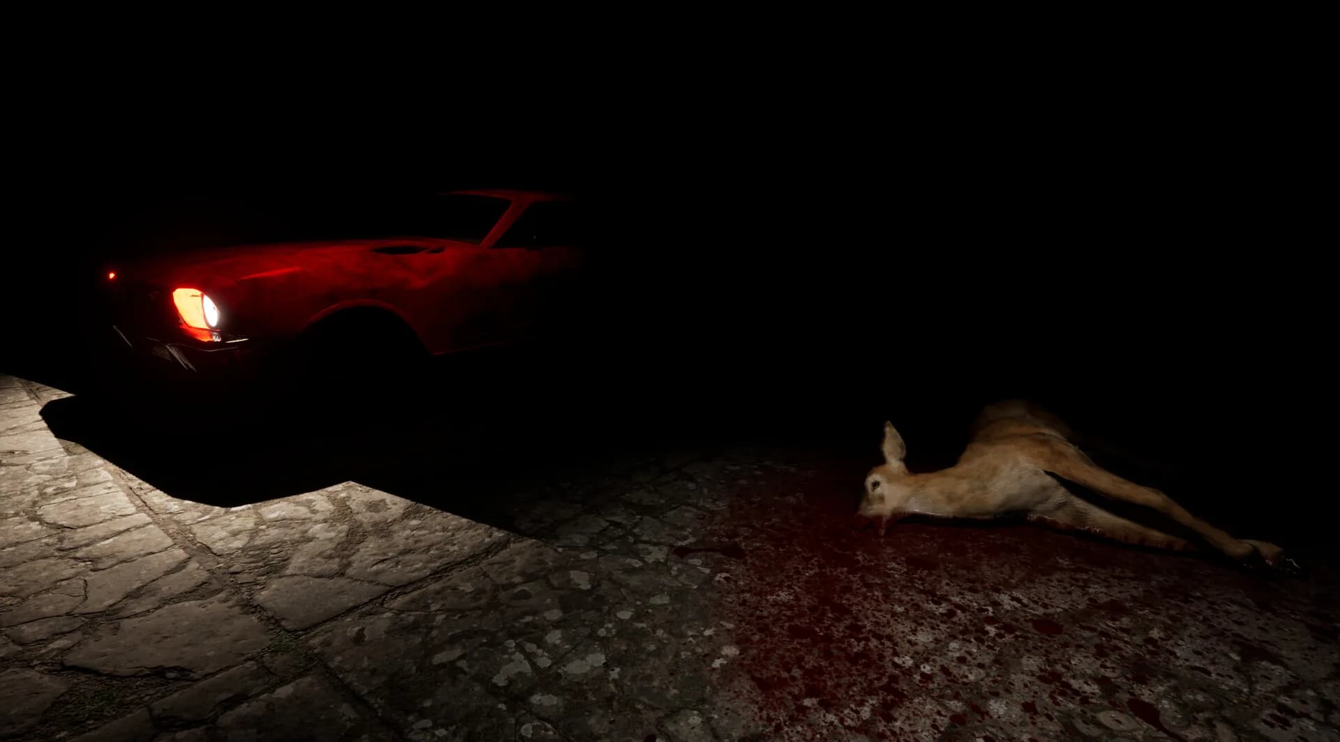 Forest Asylum 2 görsel 6