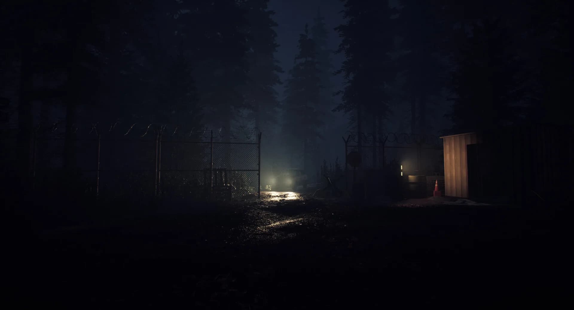 It Happened At Night - A New Nightmare görsel 2