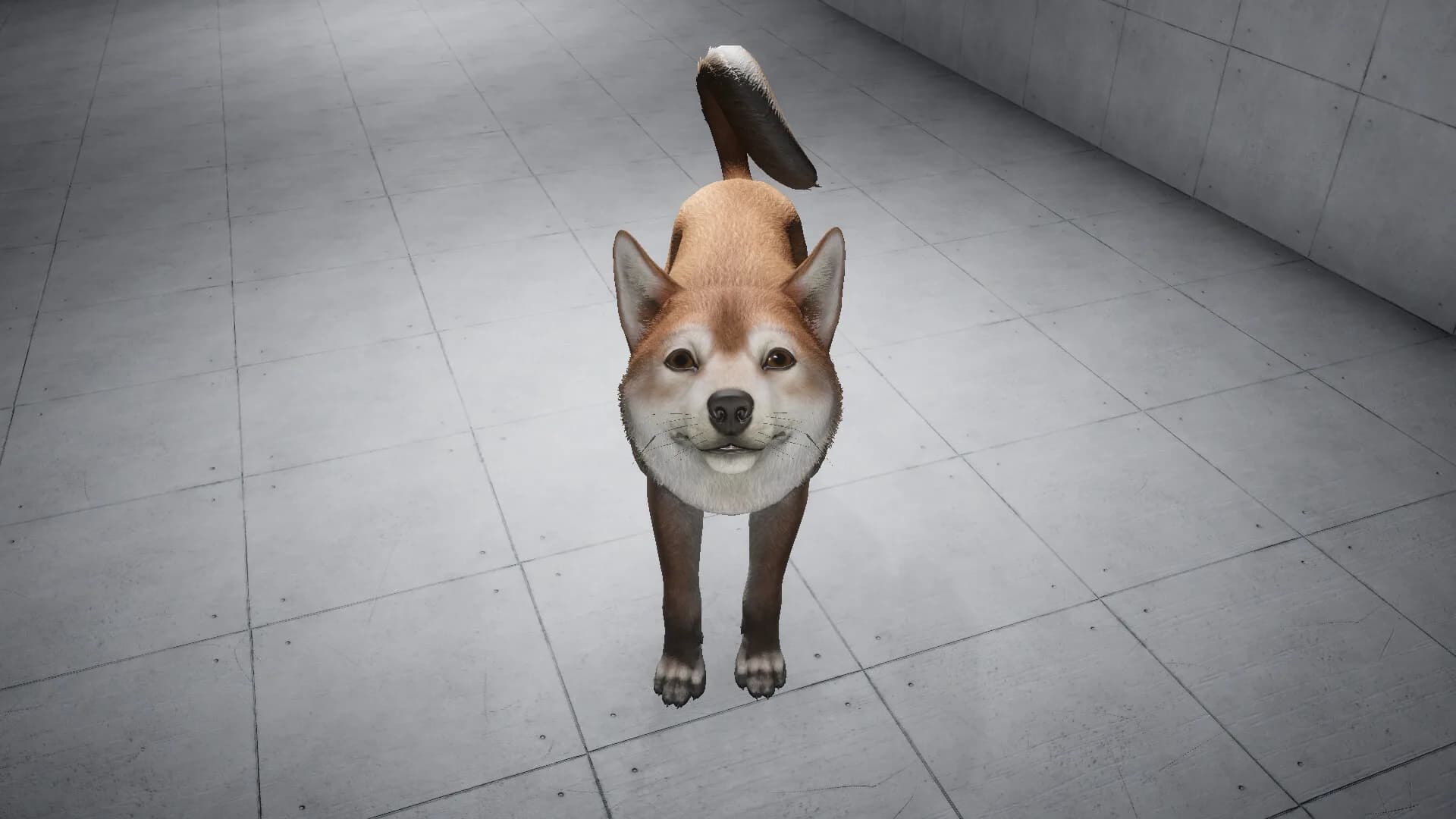 Like a dog görsel 4