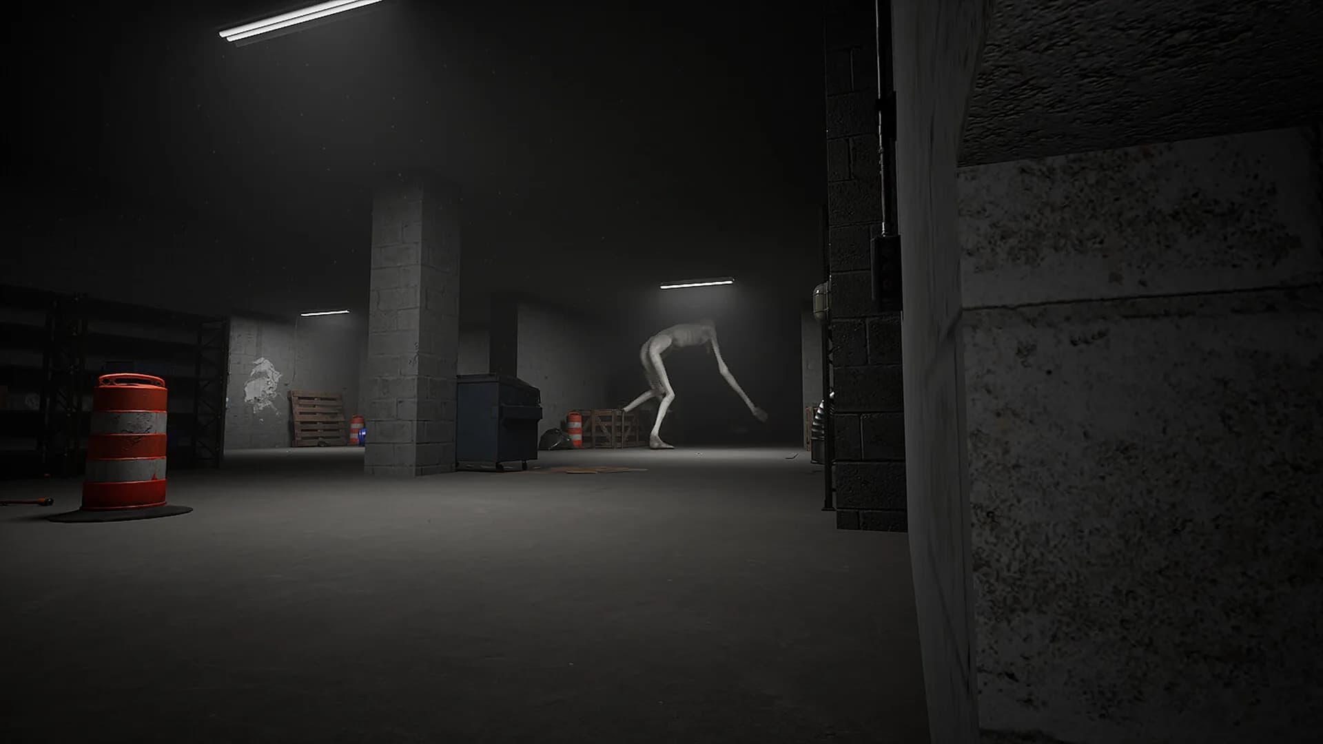 SCP: EXPERIMENTS görsel 7