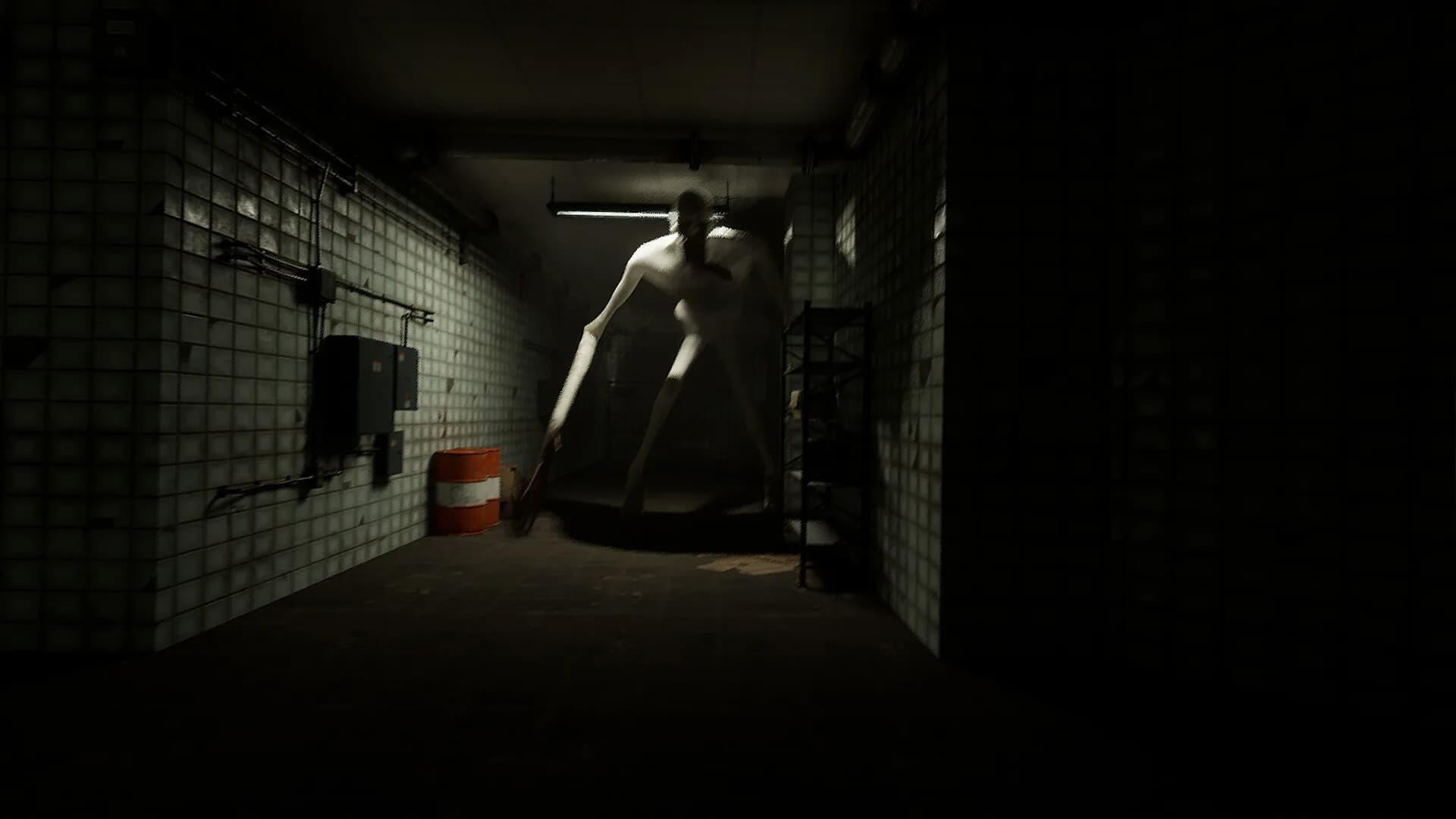SCP: EXPERIMENTS görsel 10