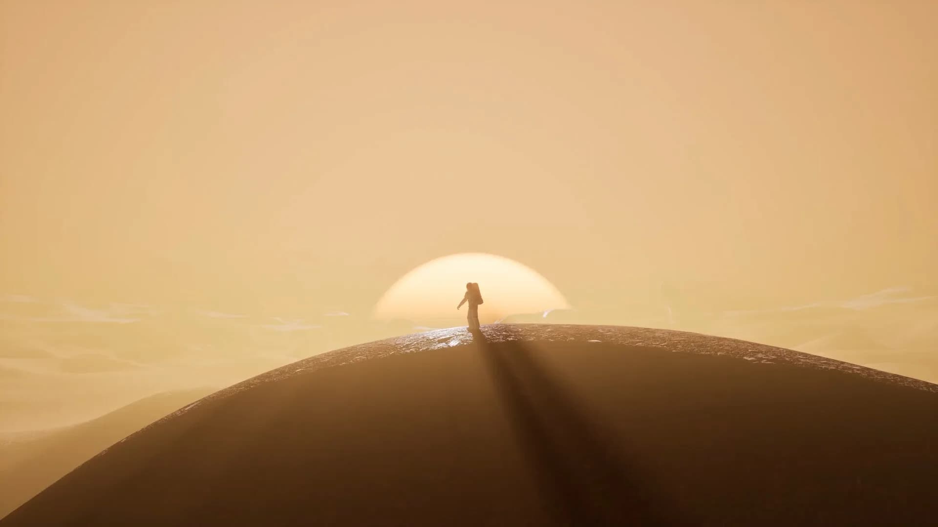 IF WE MAKE IT HOME. görsel 2