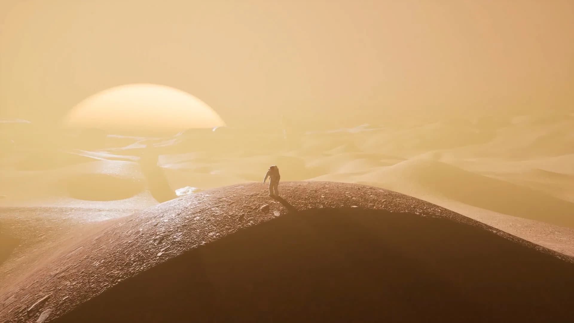 IF WE MAKE IT HOME. görsel 5