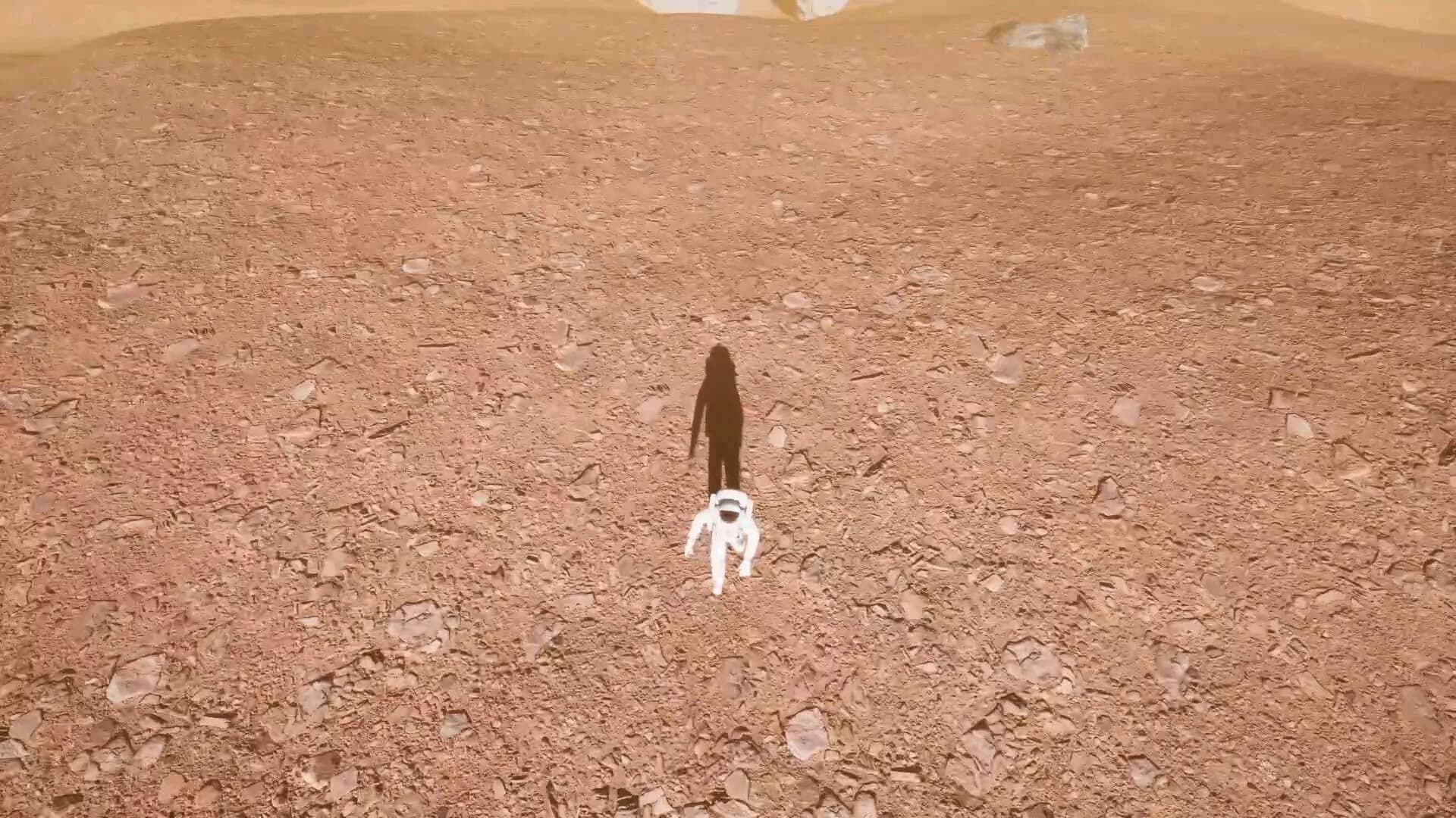 IF WE MAKE IT HOME. görsel 6