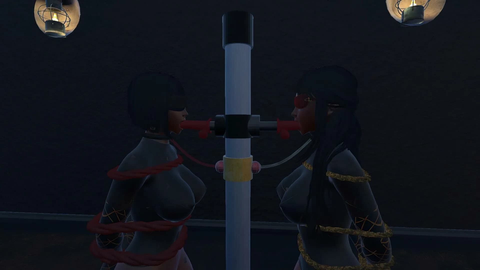 Bondage Arena görsel 5