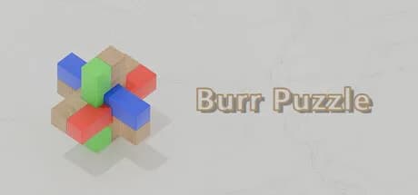 Burr Puzzle
