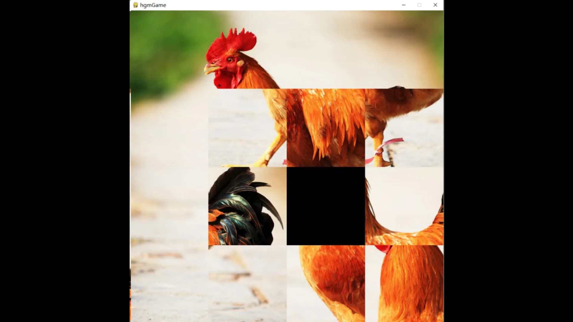 hgmGame-rooster görsel 2