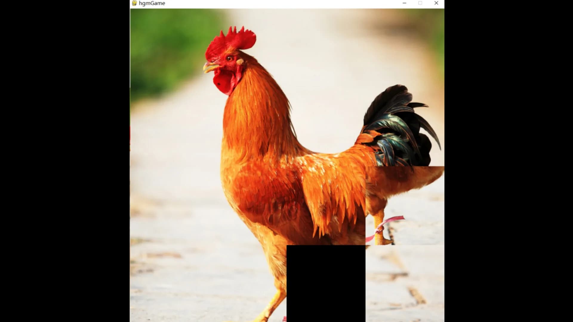 hgmGame-rooster görsel 4