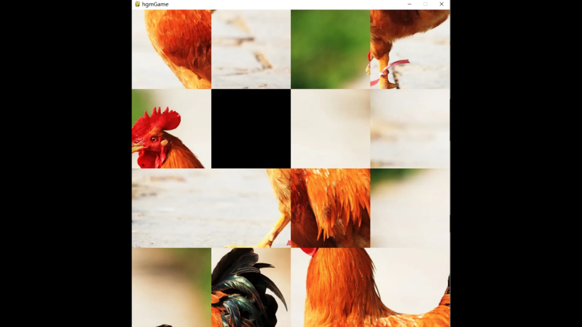 hgmGame-rooster görsel 5