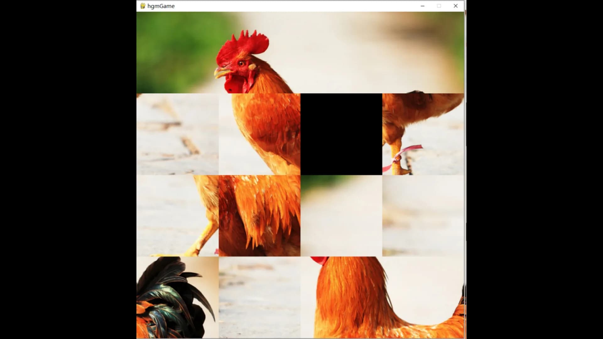hgmGame-rooster görsel 6