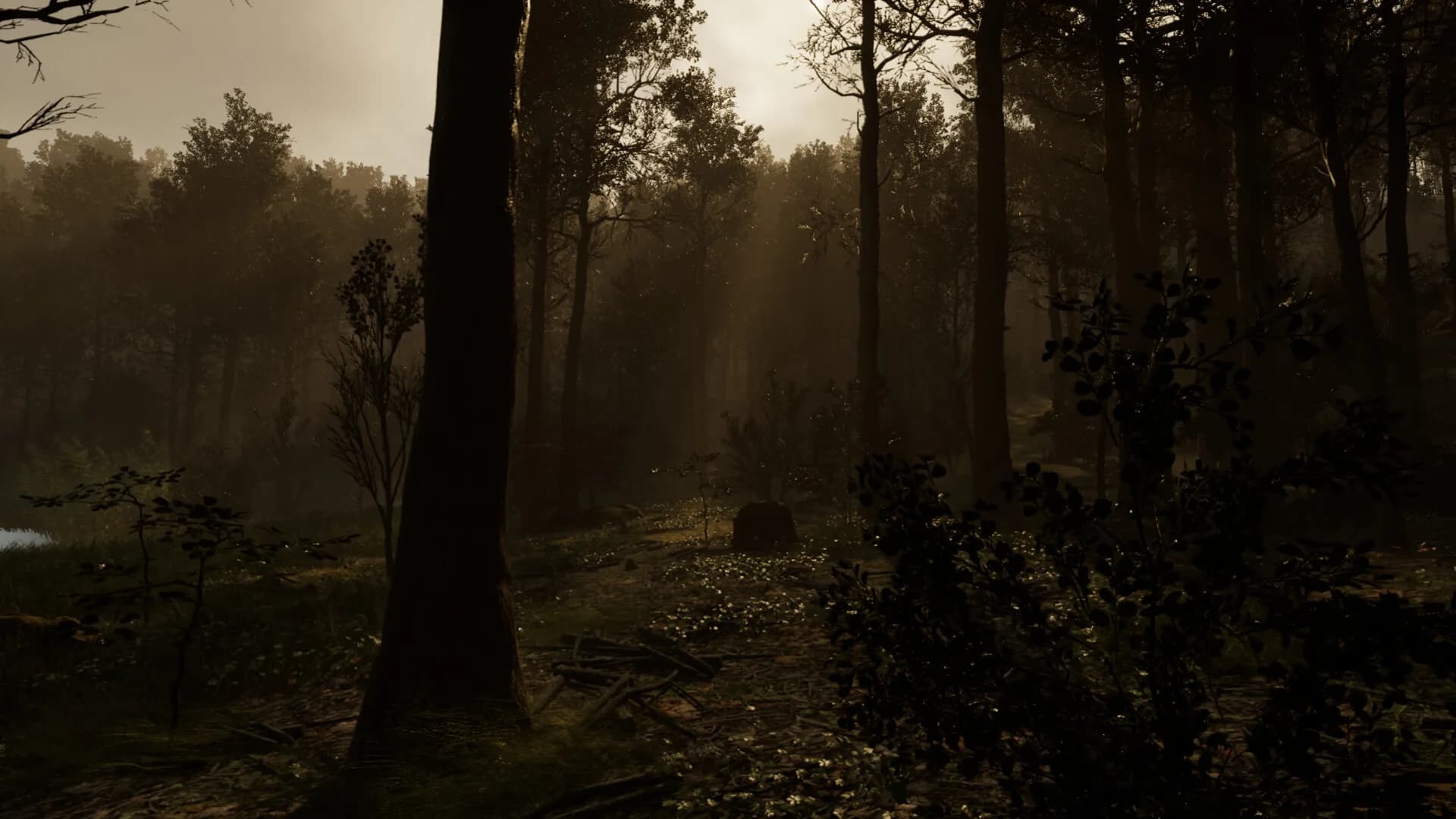 Withering Horrors görsel 3